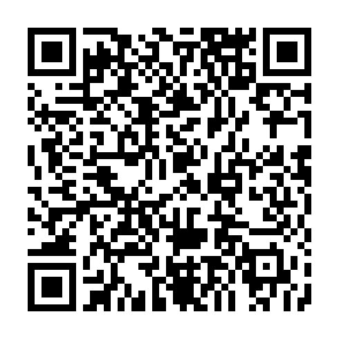 UPI Payment QR